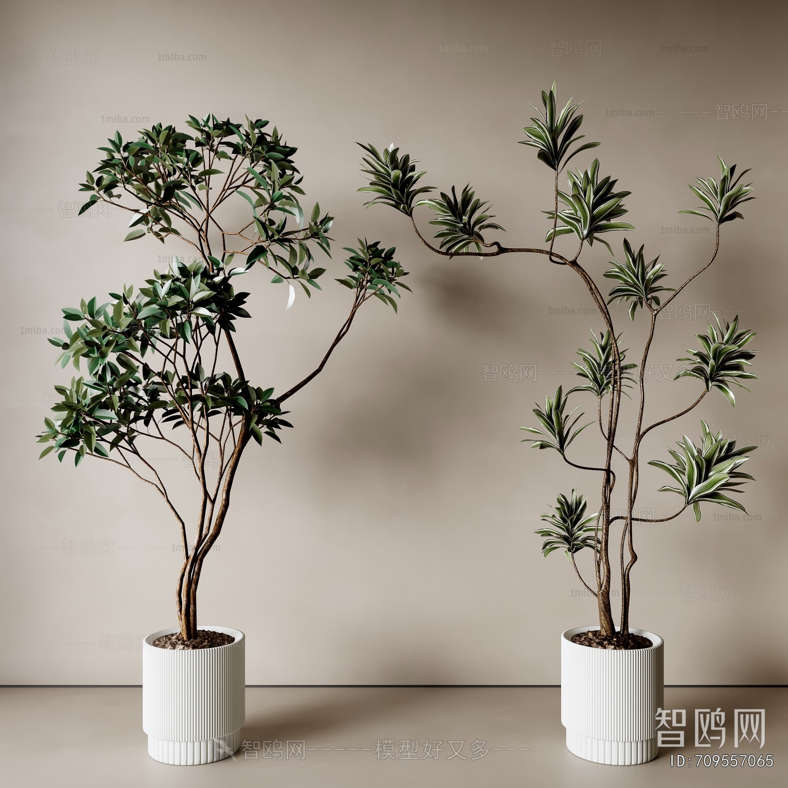 Modern Ground Green Plant Potted Plants