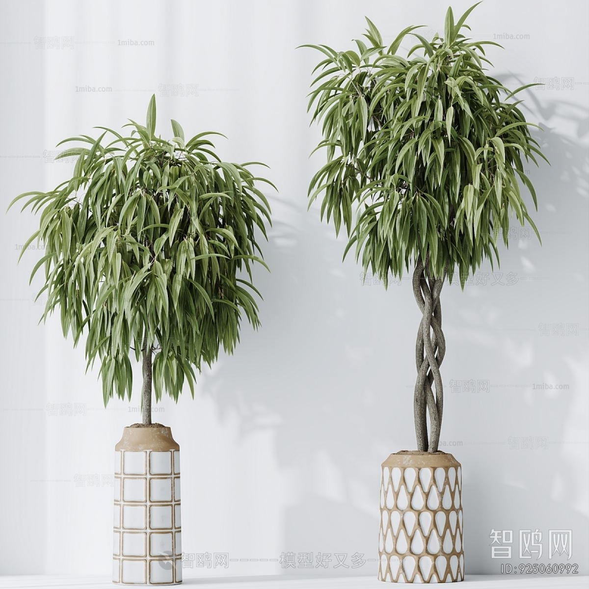 Modern Ground Green Plant Potted Plants