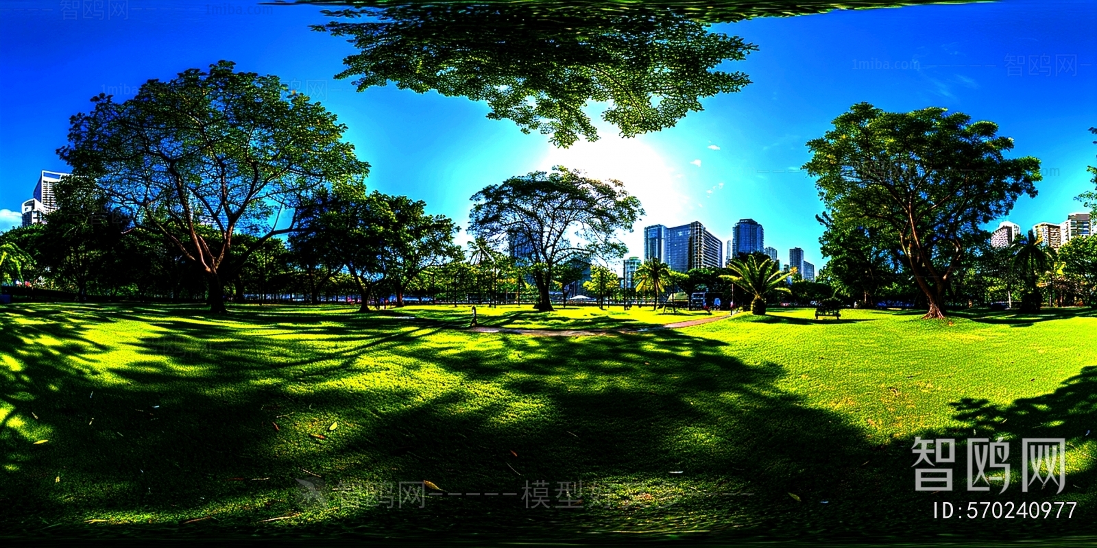 The Environment