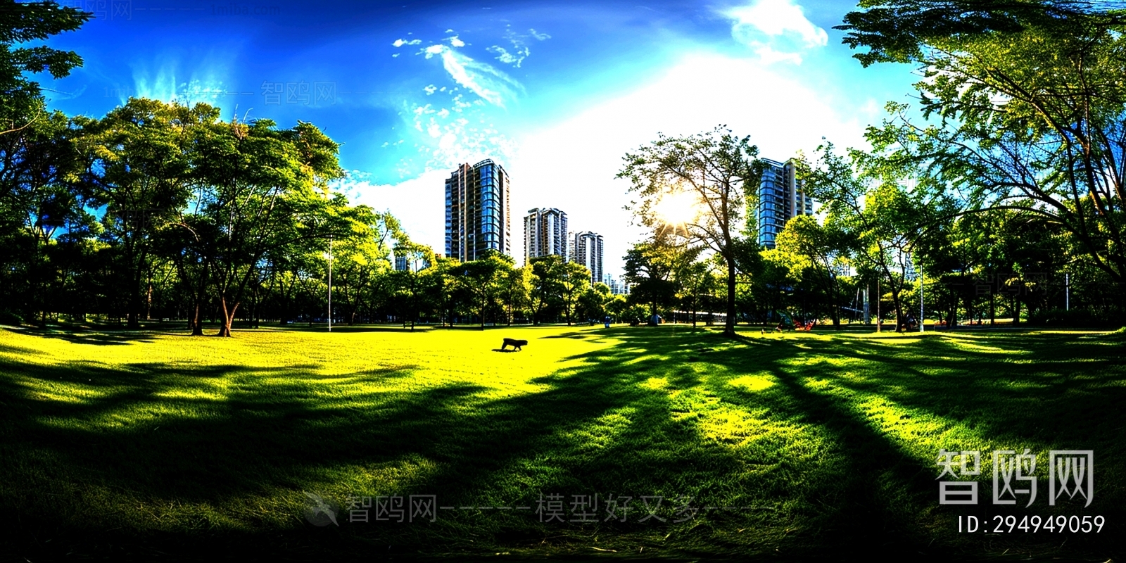 City