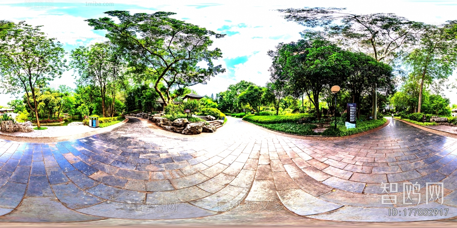 The Environment