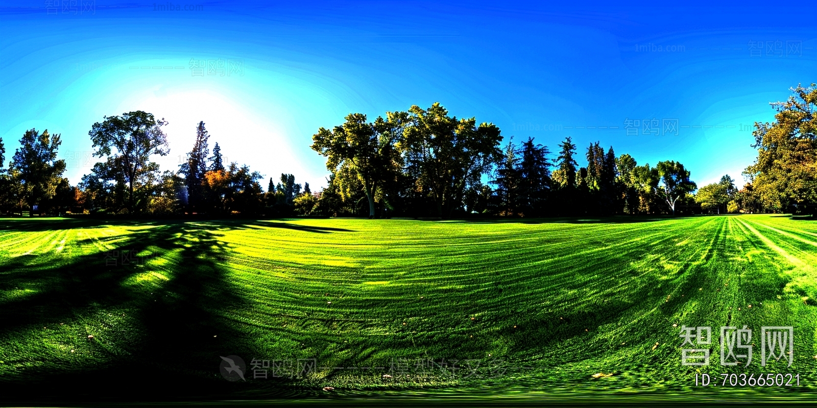 The Environment