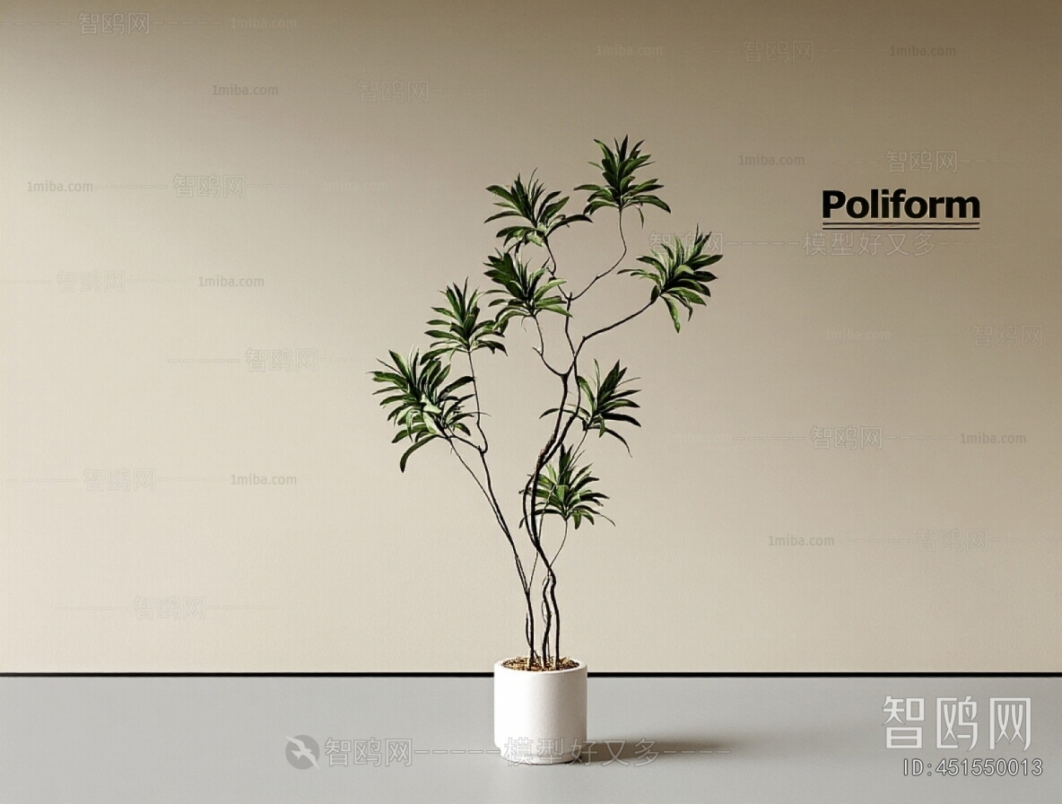 Modern Ground Green Plant Potted Plants