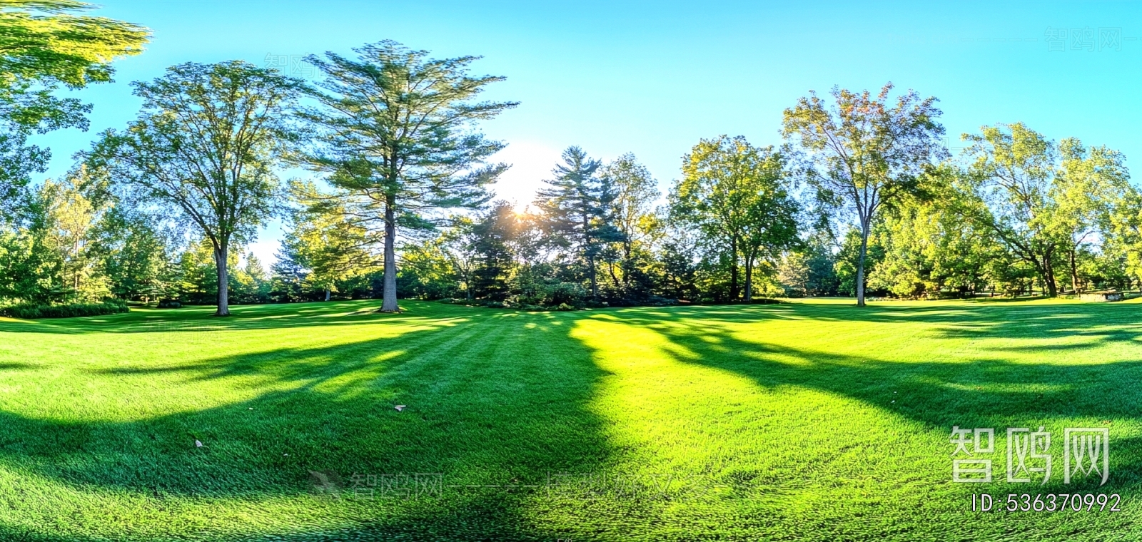 The Environment
