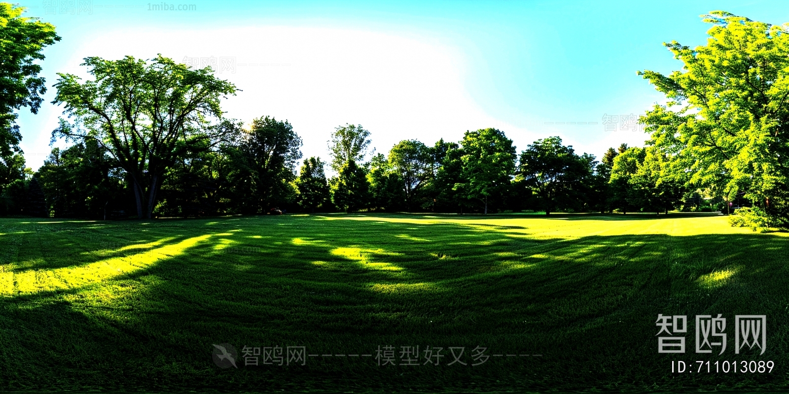 The Environment