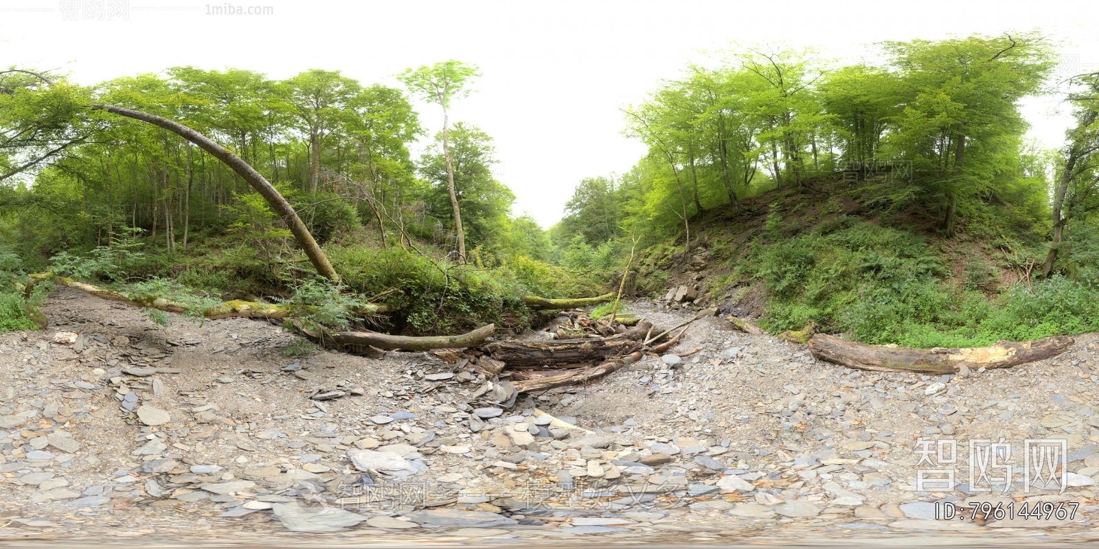 The Environment