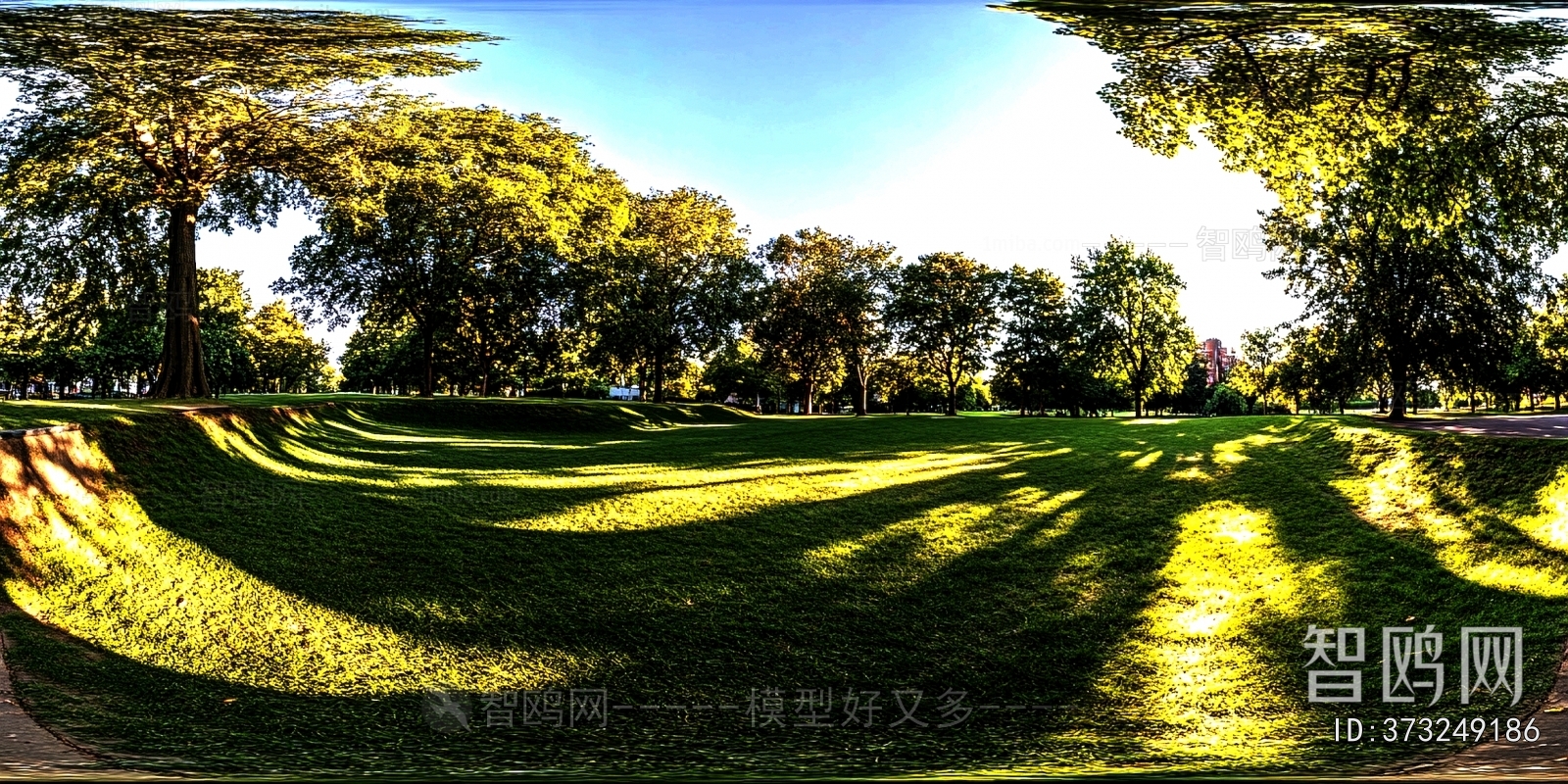 The Environment