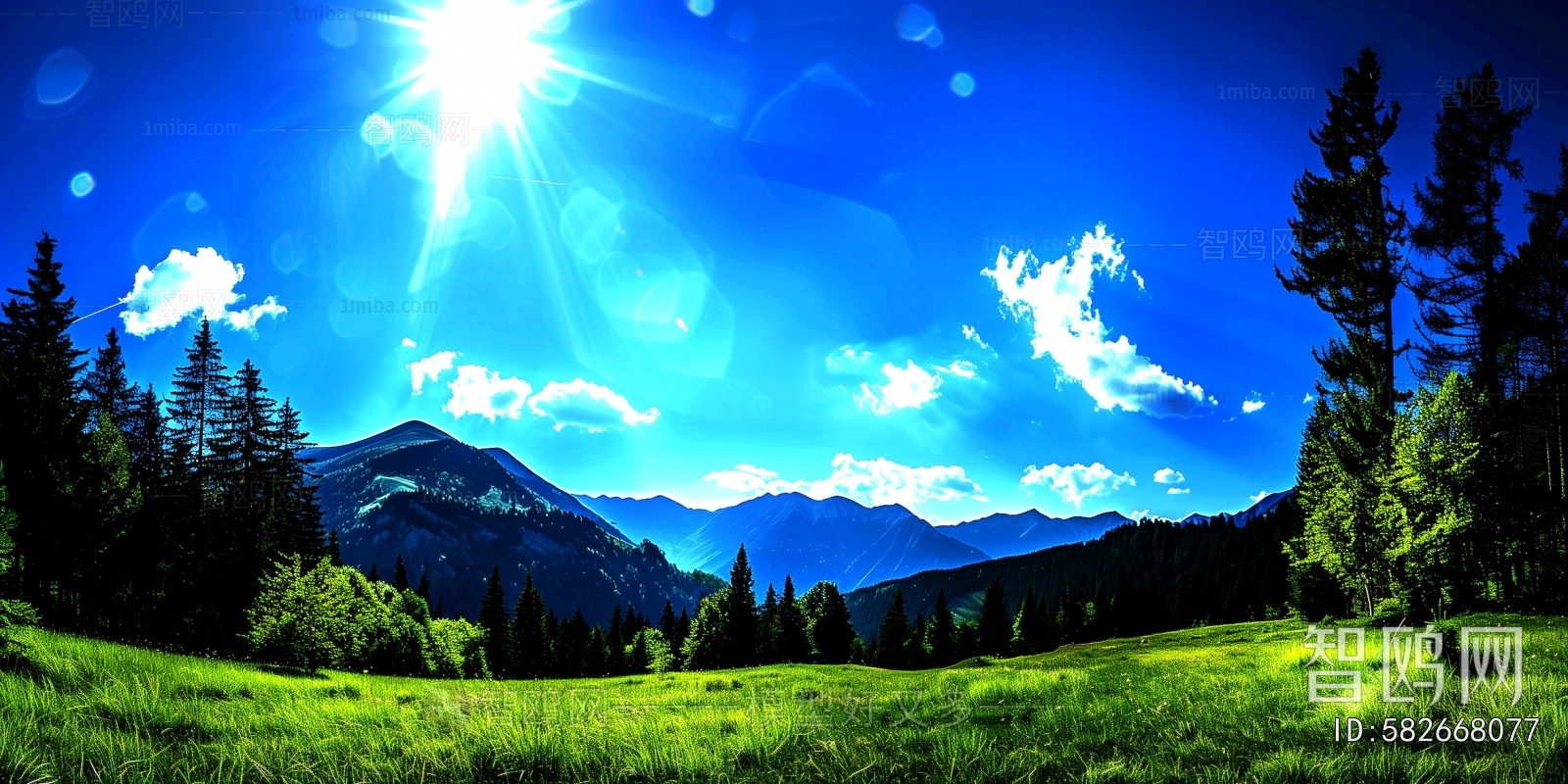 The Environment