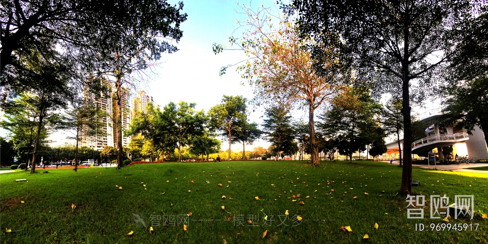 The Environment