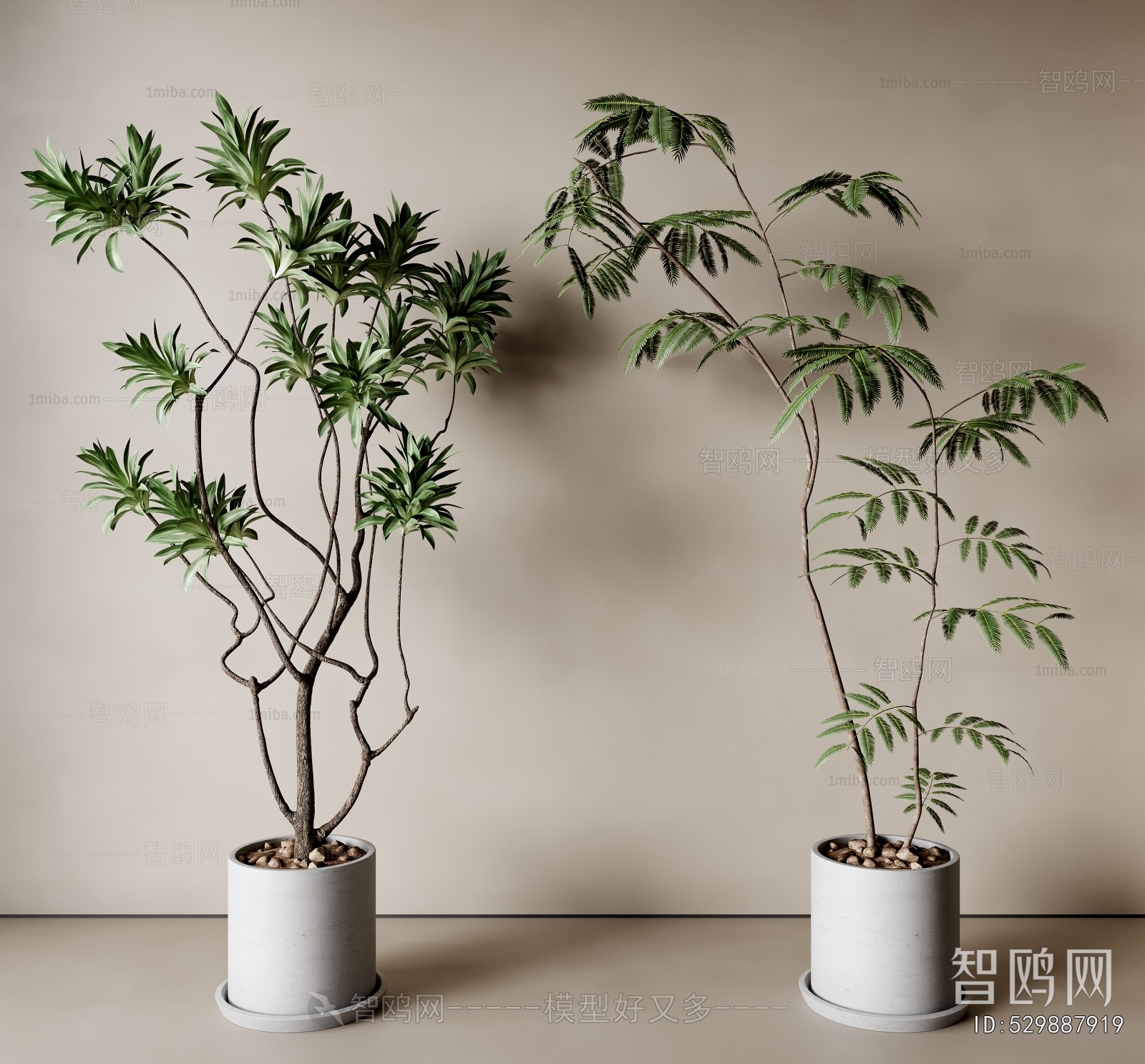 Modern Ground Green Plant Potted Plants