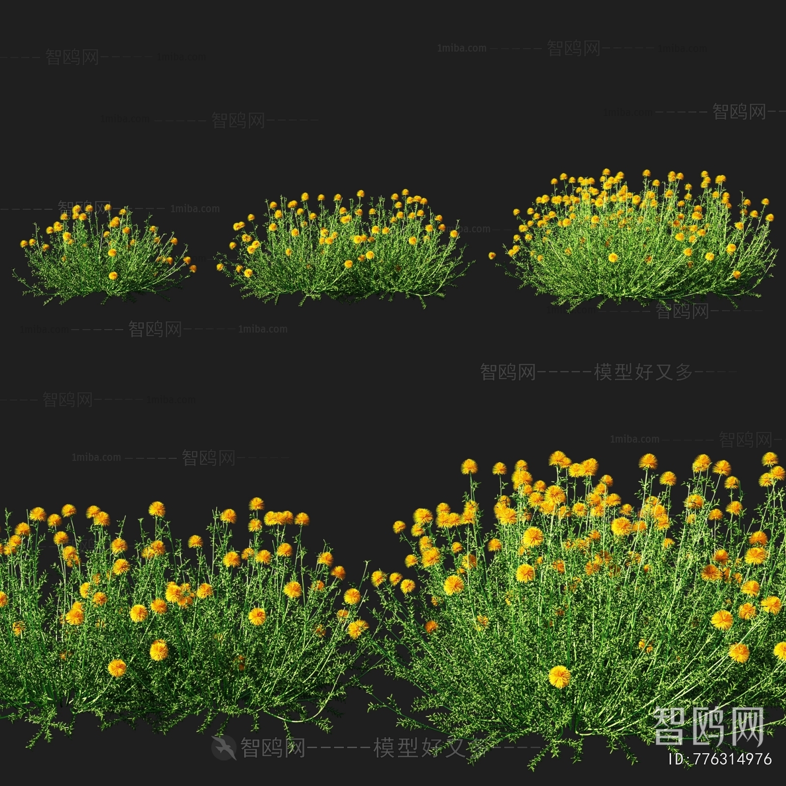 Modern Flowers And Grass