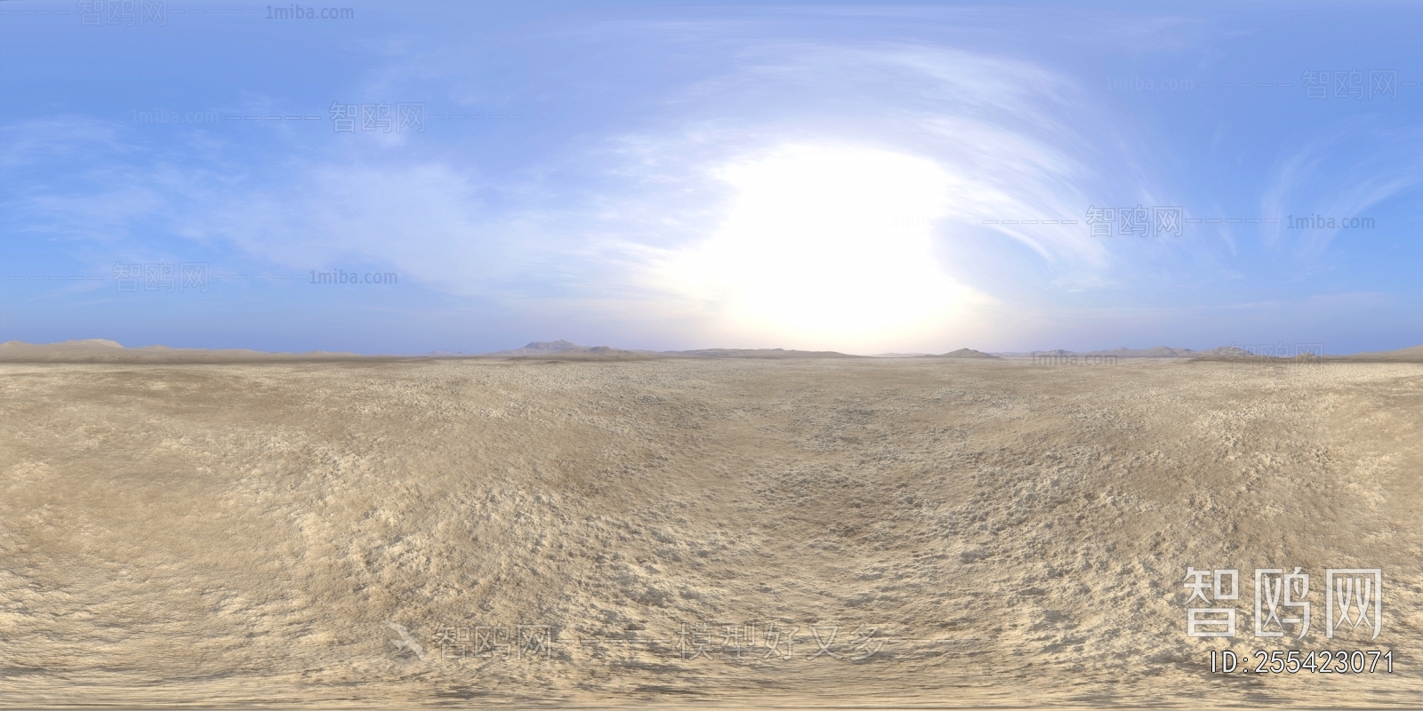 The Environment