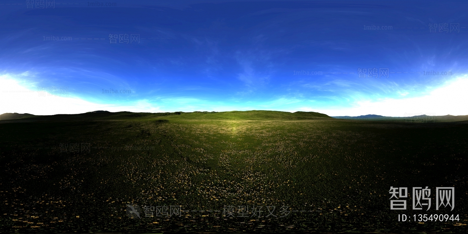 The Environment
