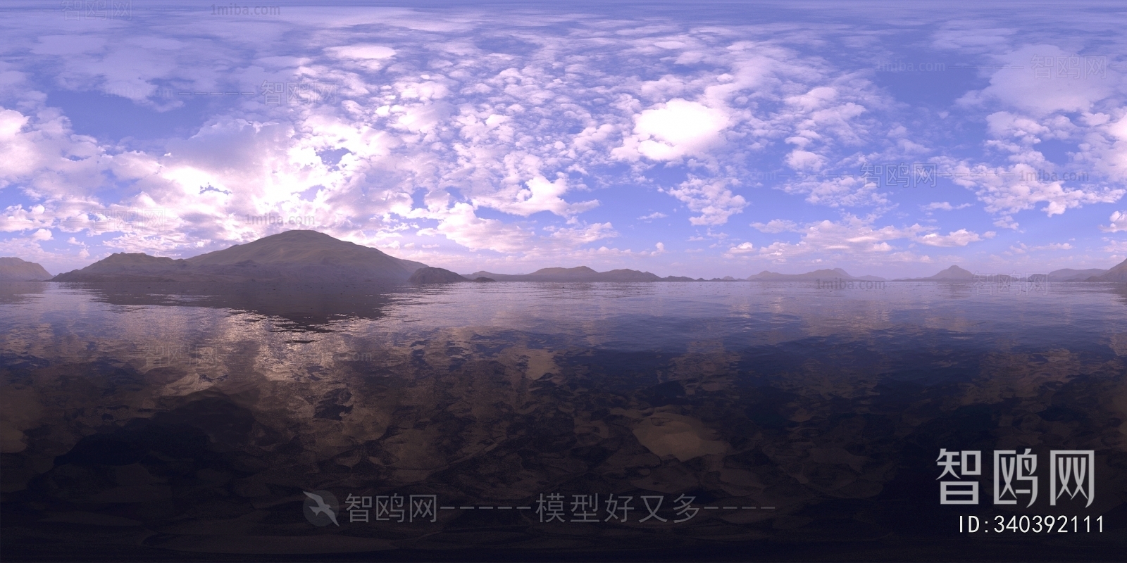 The Environment
