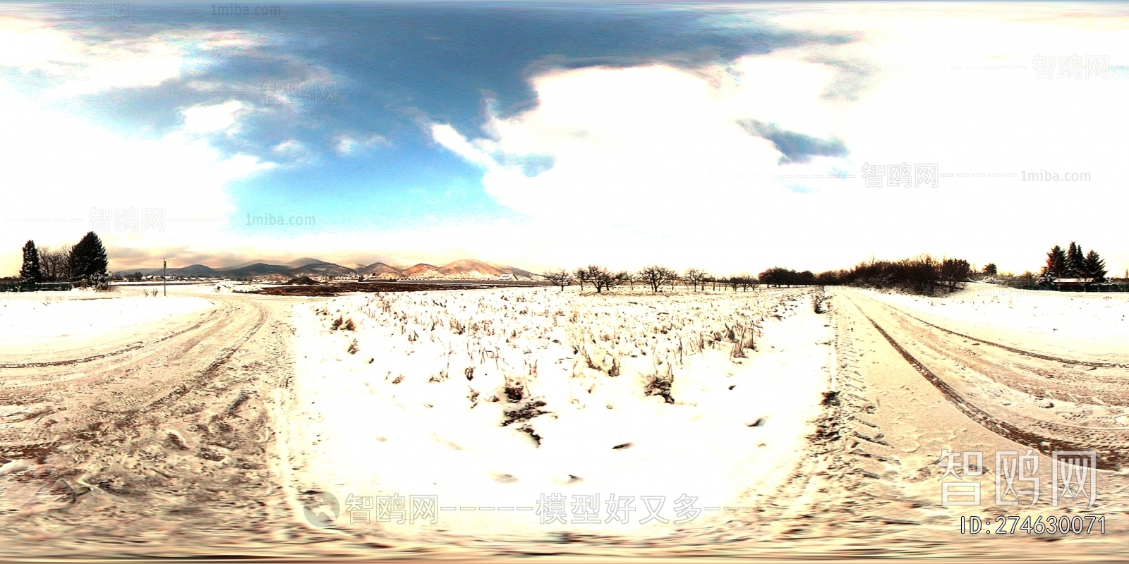 The Environment