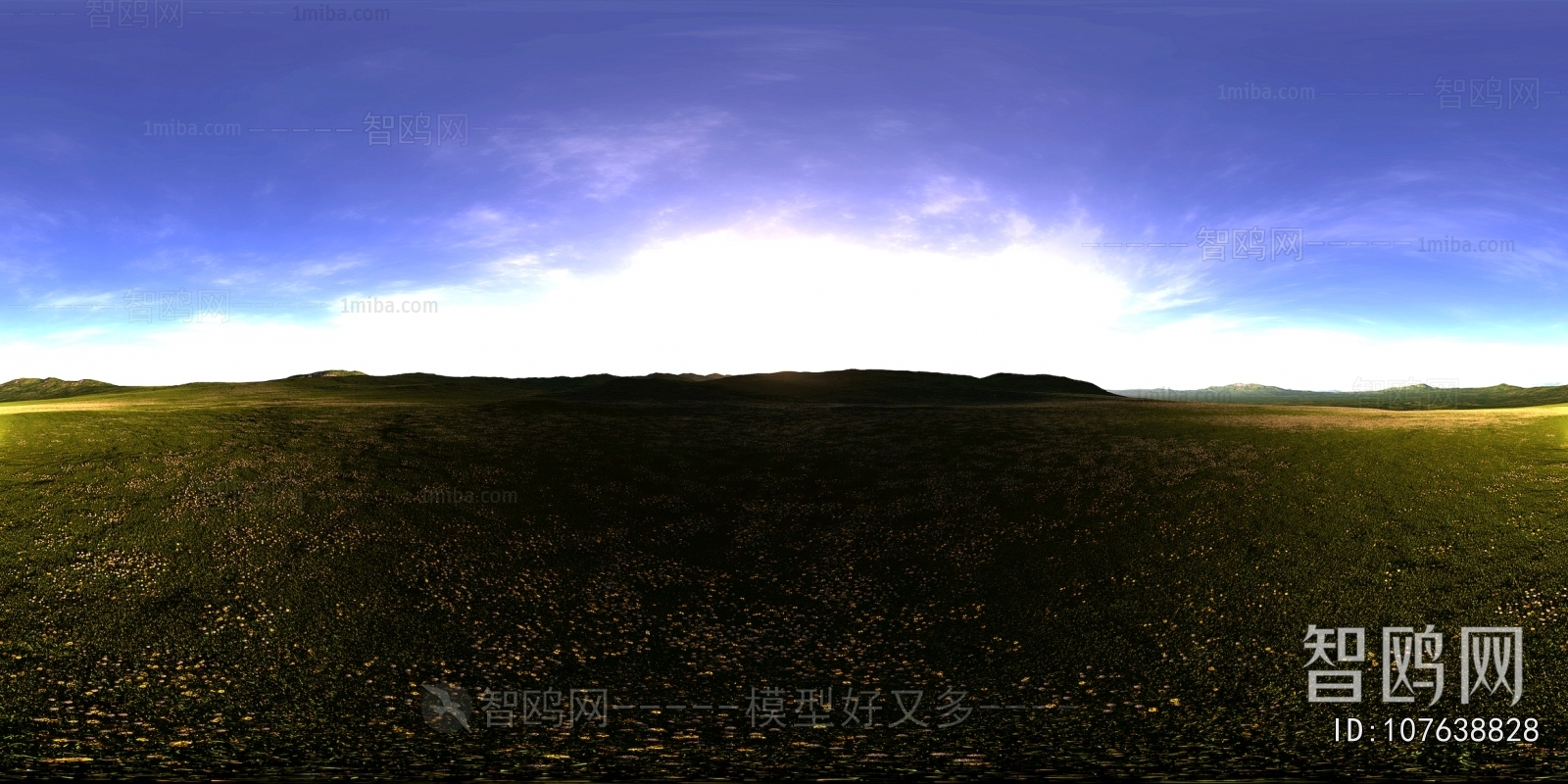 The Environment