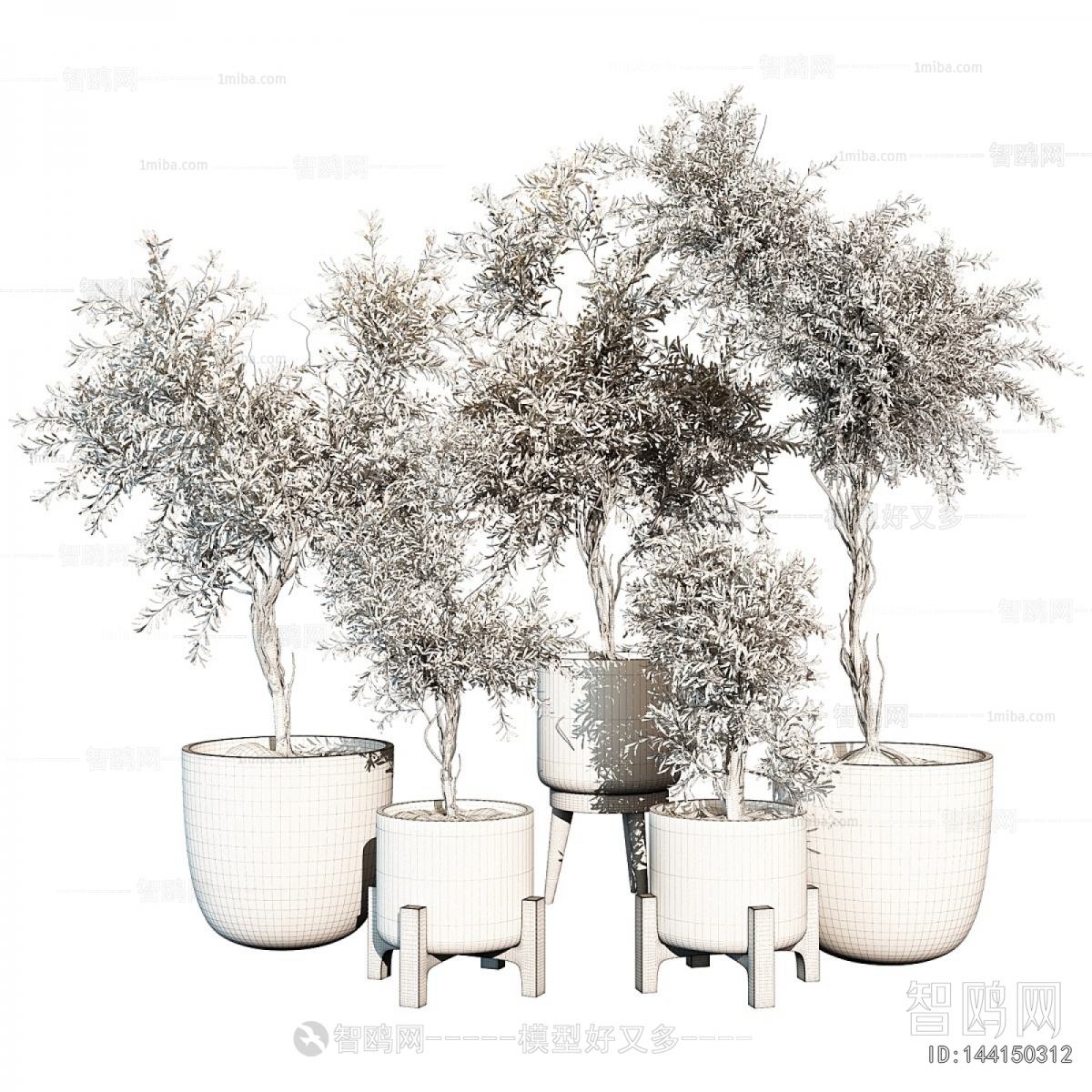 Modern Ground Green Plant Potted Plants