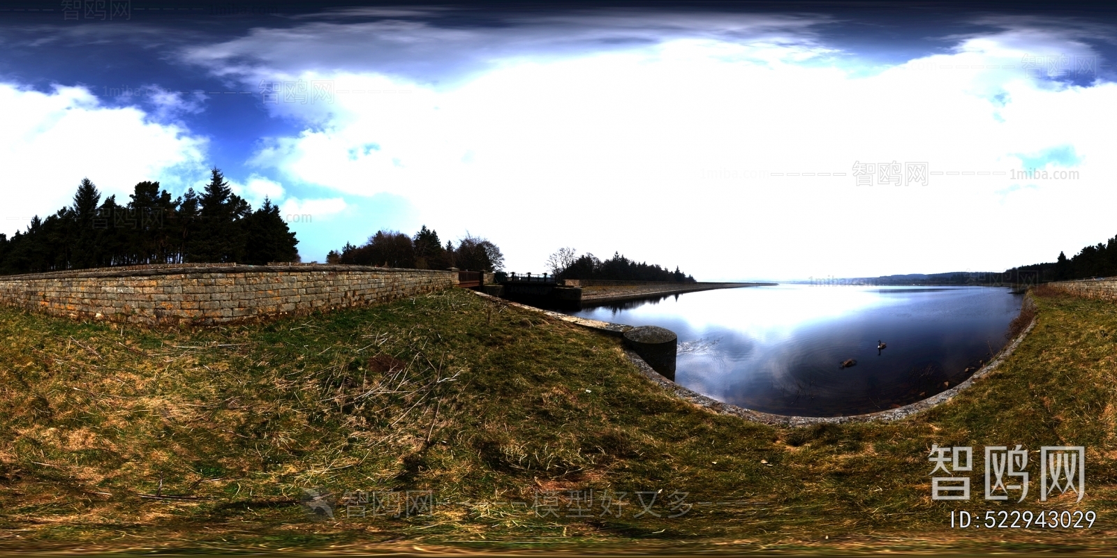 The Environment