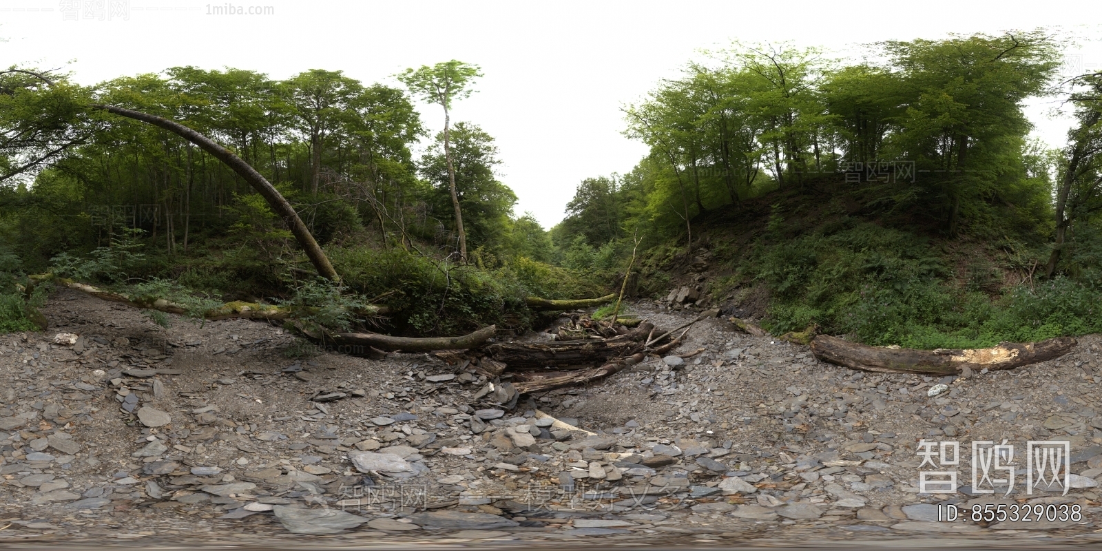 The Environment