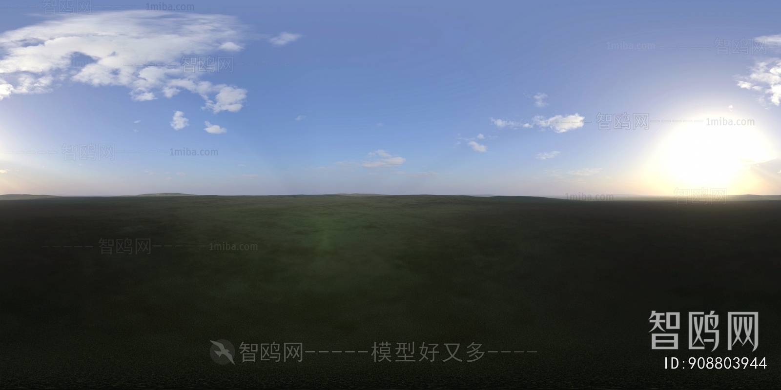 The Environment