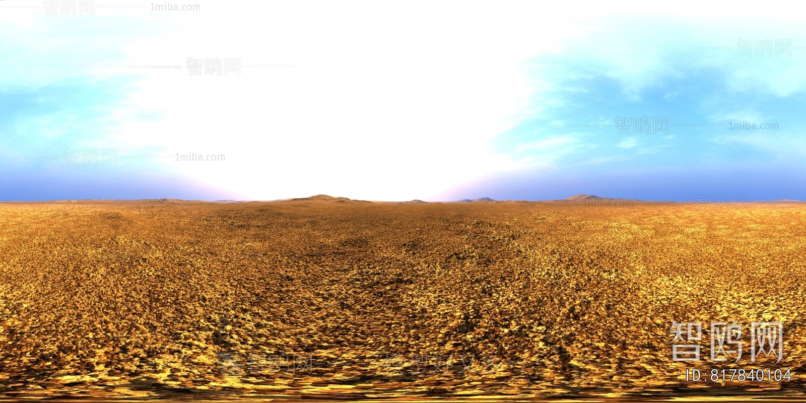 The Environment
