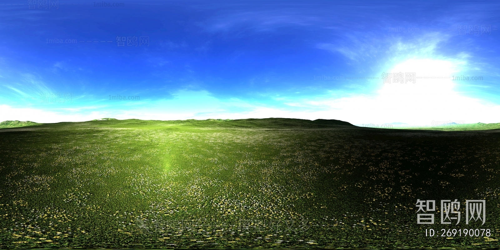 The Environment