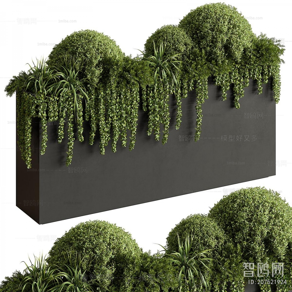 Modern Flower Bed, Flower Bowl, Flower Box
