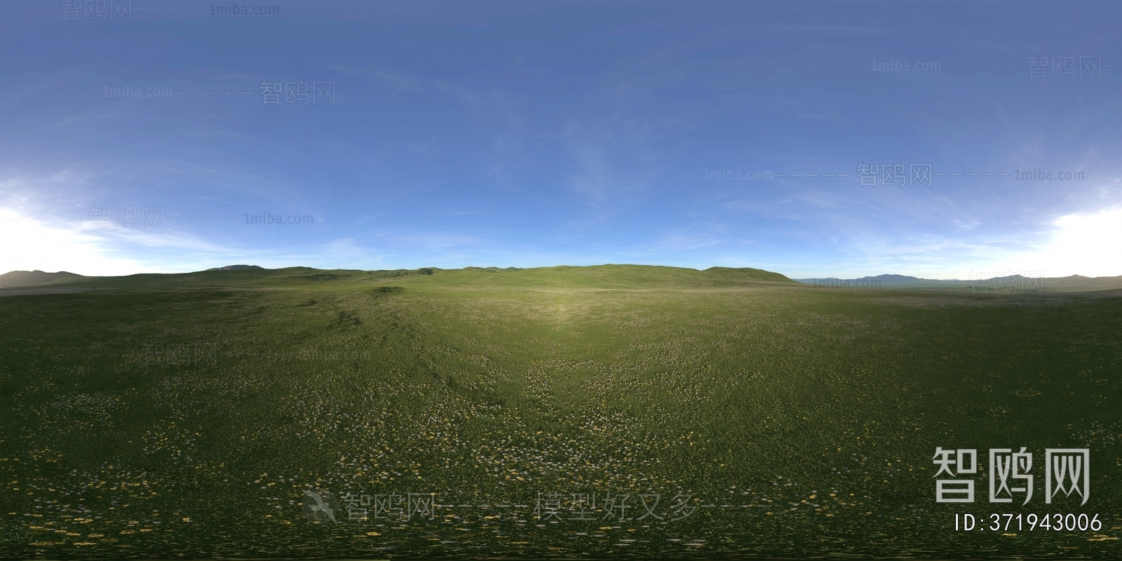 The Environment