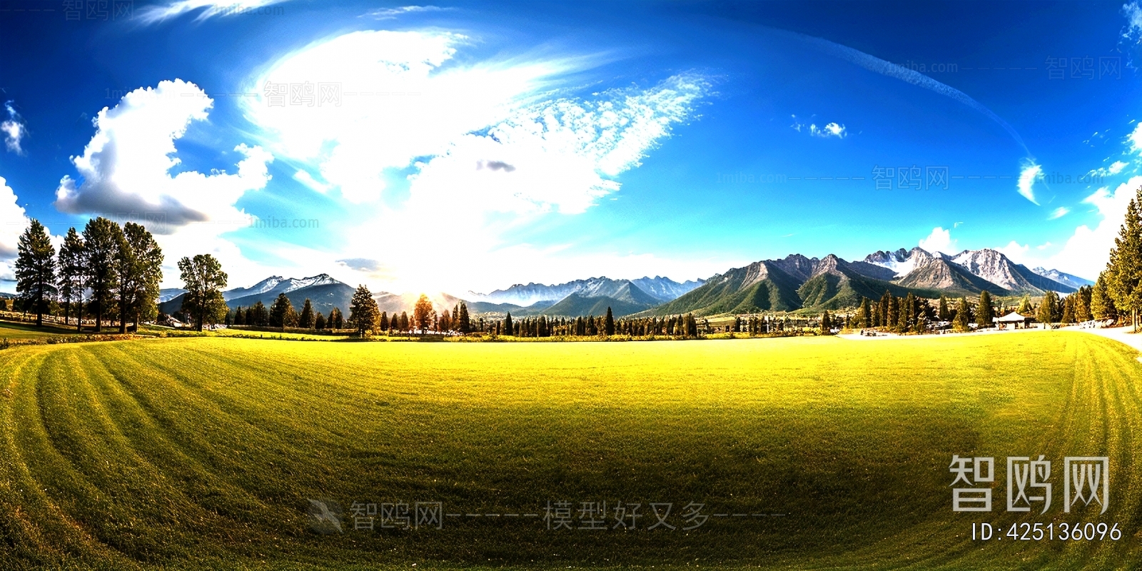 The Environment