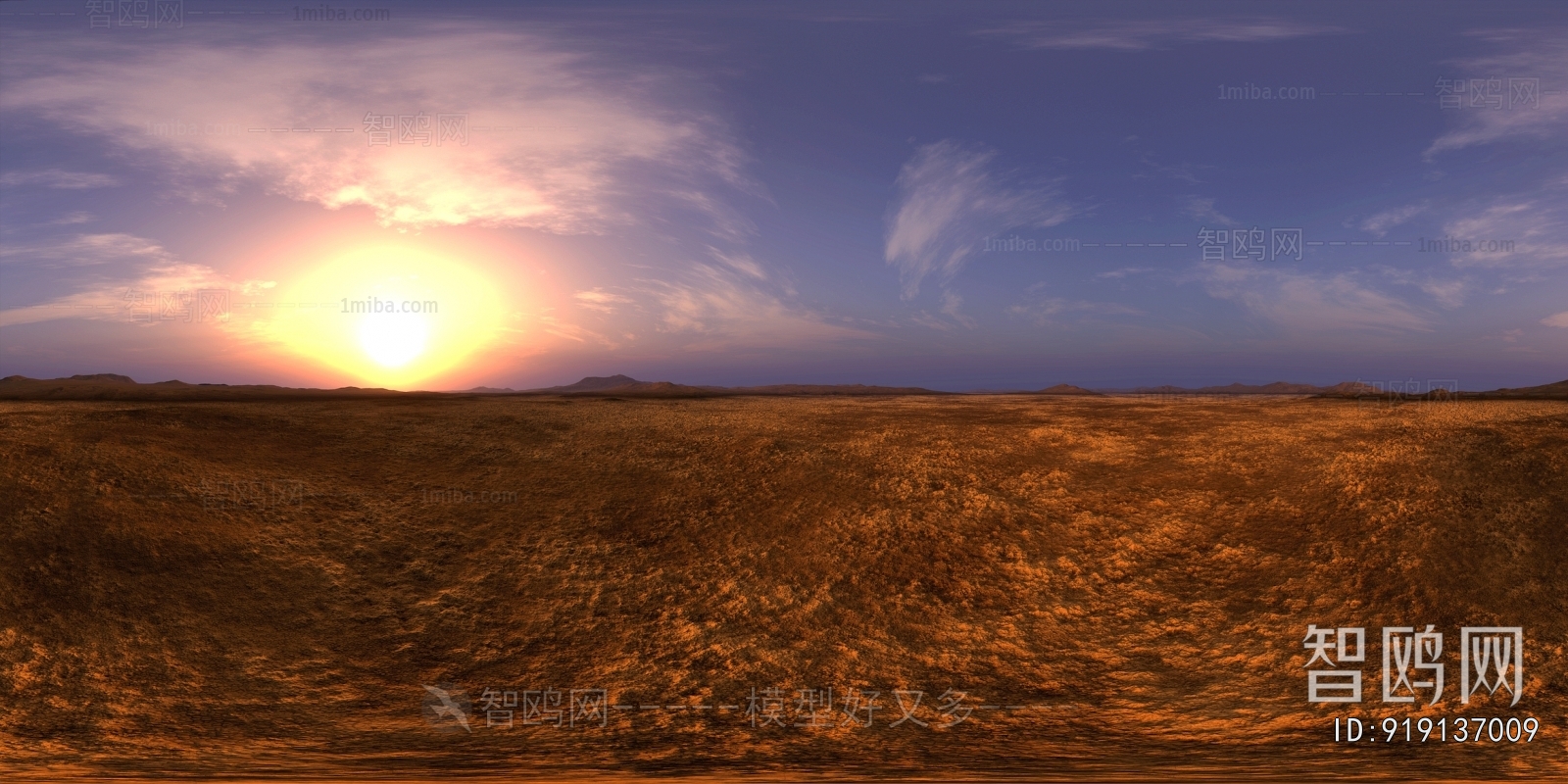 The Environment