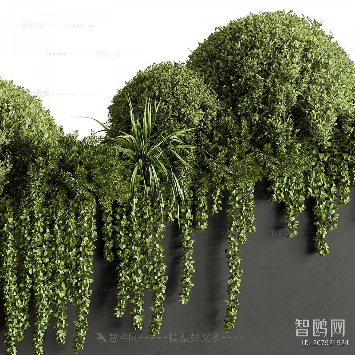 Modern Flower Bed, Flower Bowl, Flower Box