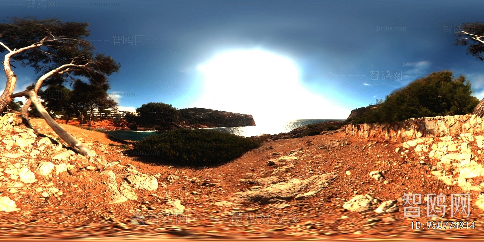 The Environment