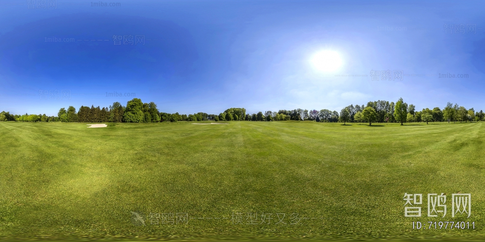 The Environment