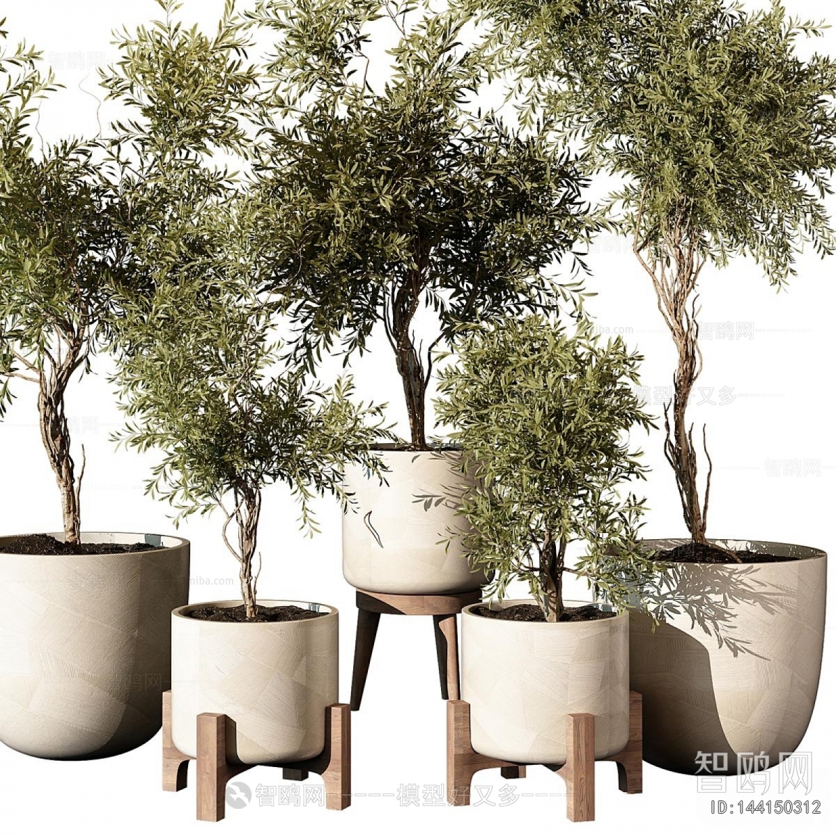 Modern Ground Green Plant Potted Plants
