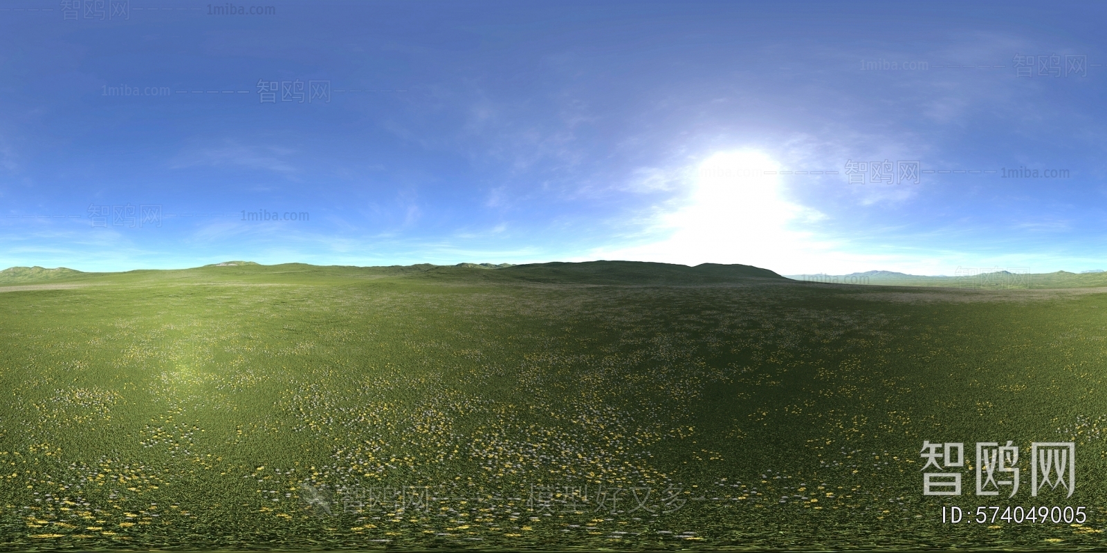 The Environment