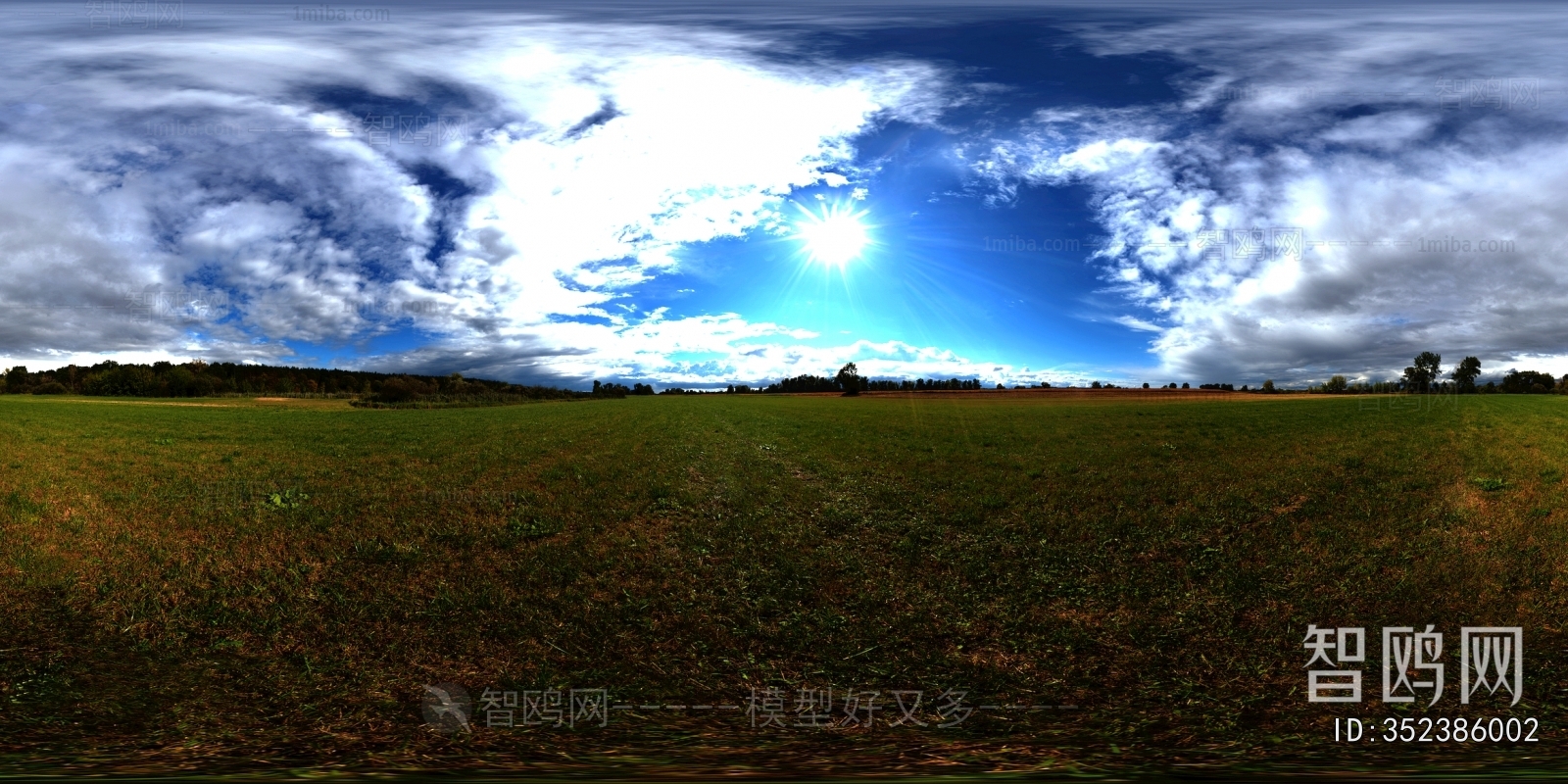 The Environment