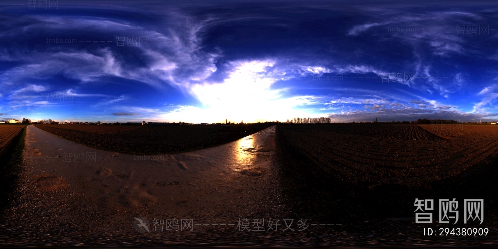 The Environment
