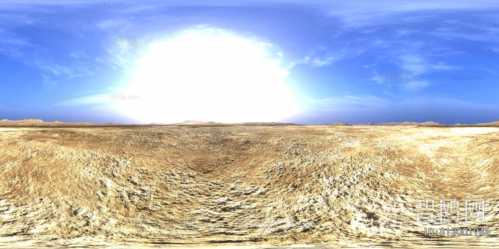 The Environment