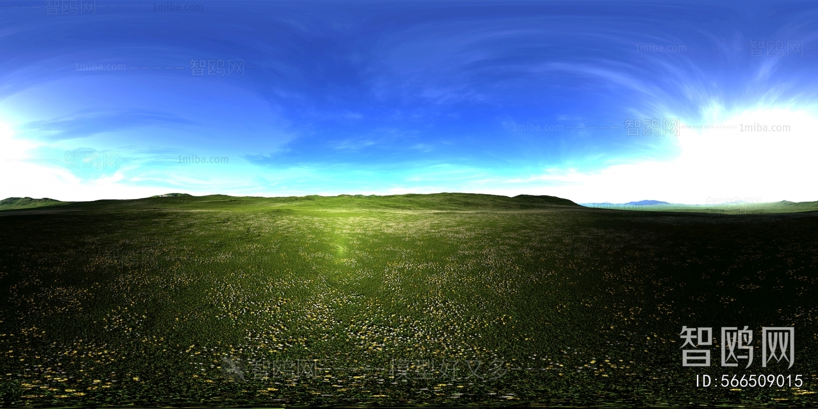 The Environment