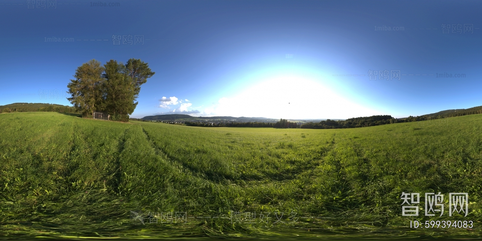 The Environment
