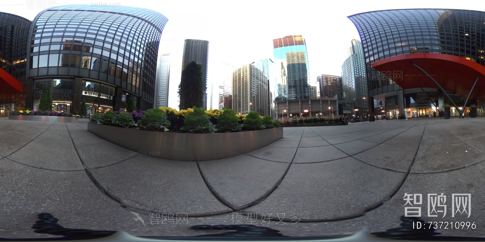 City