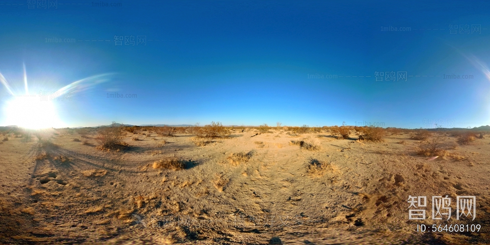 The Environment