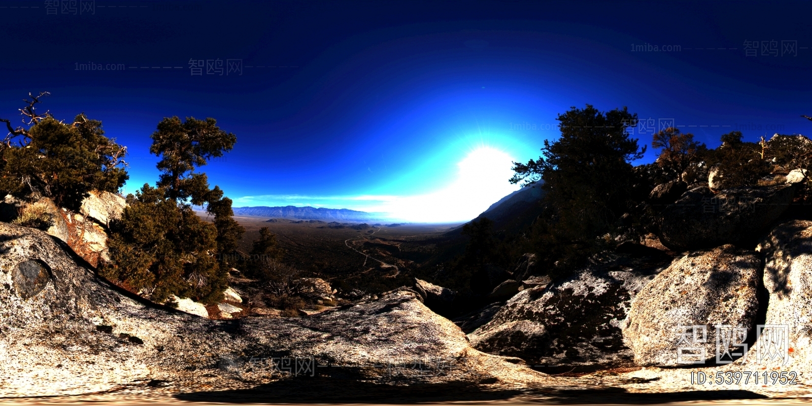 The Environment