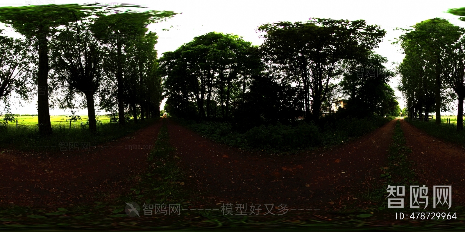 The Environment