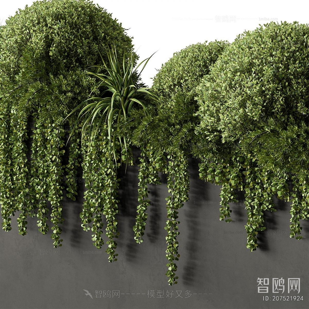 Modern Flower Bed, Flower Bowl, Flower Box