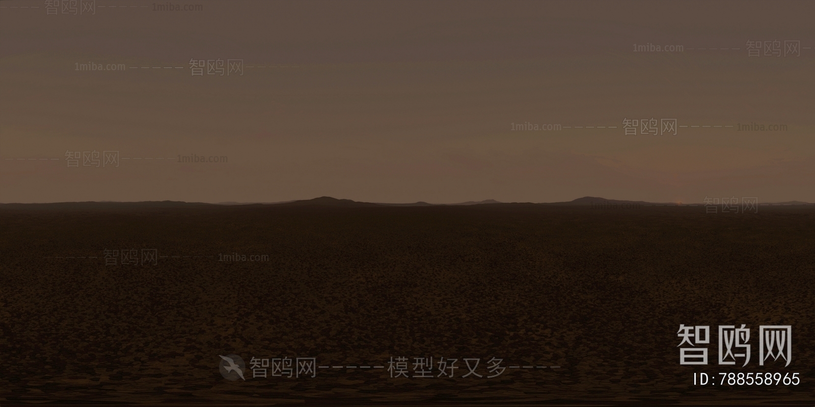 The Environment