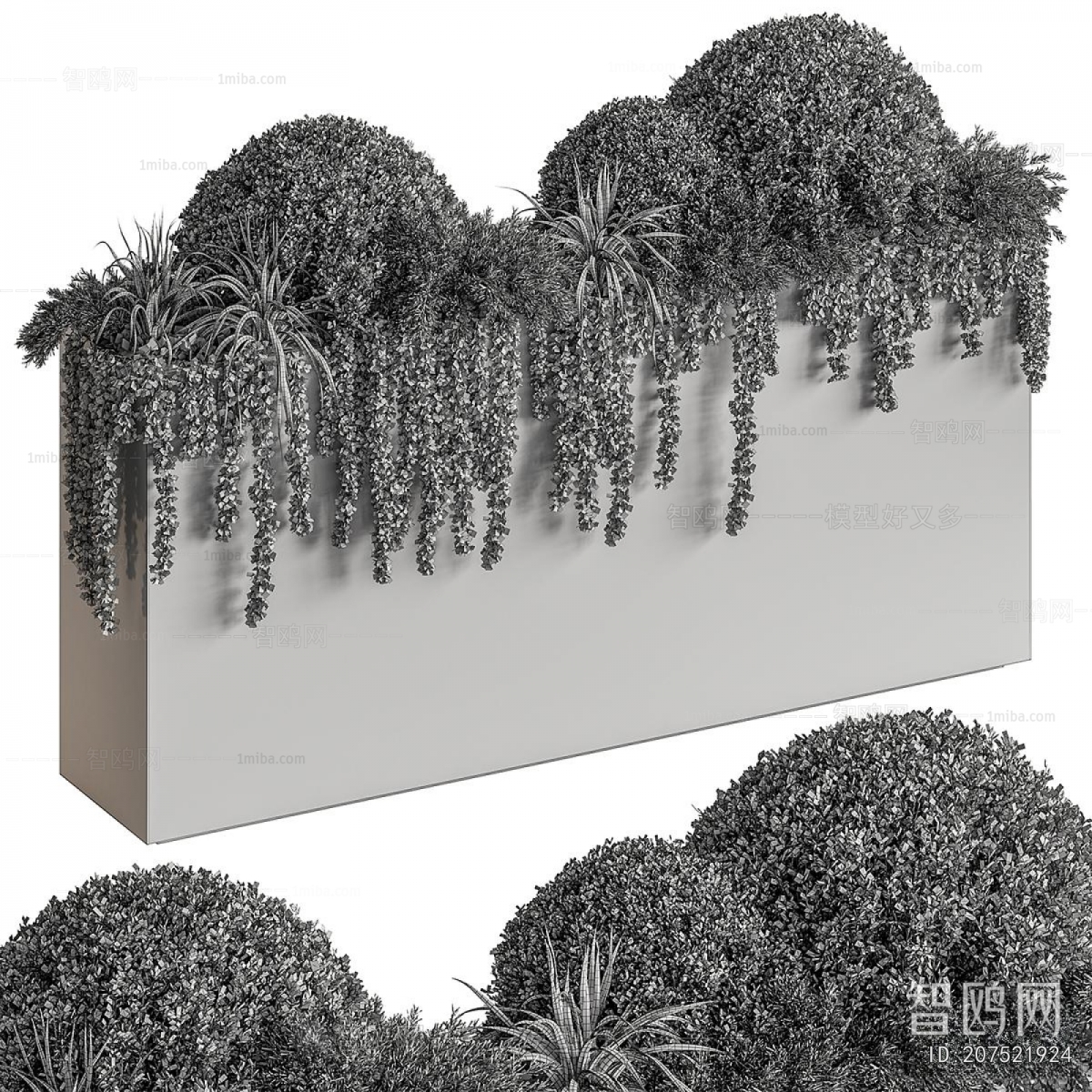 Modern Flower Bed, Flower Bowl, Flower Box