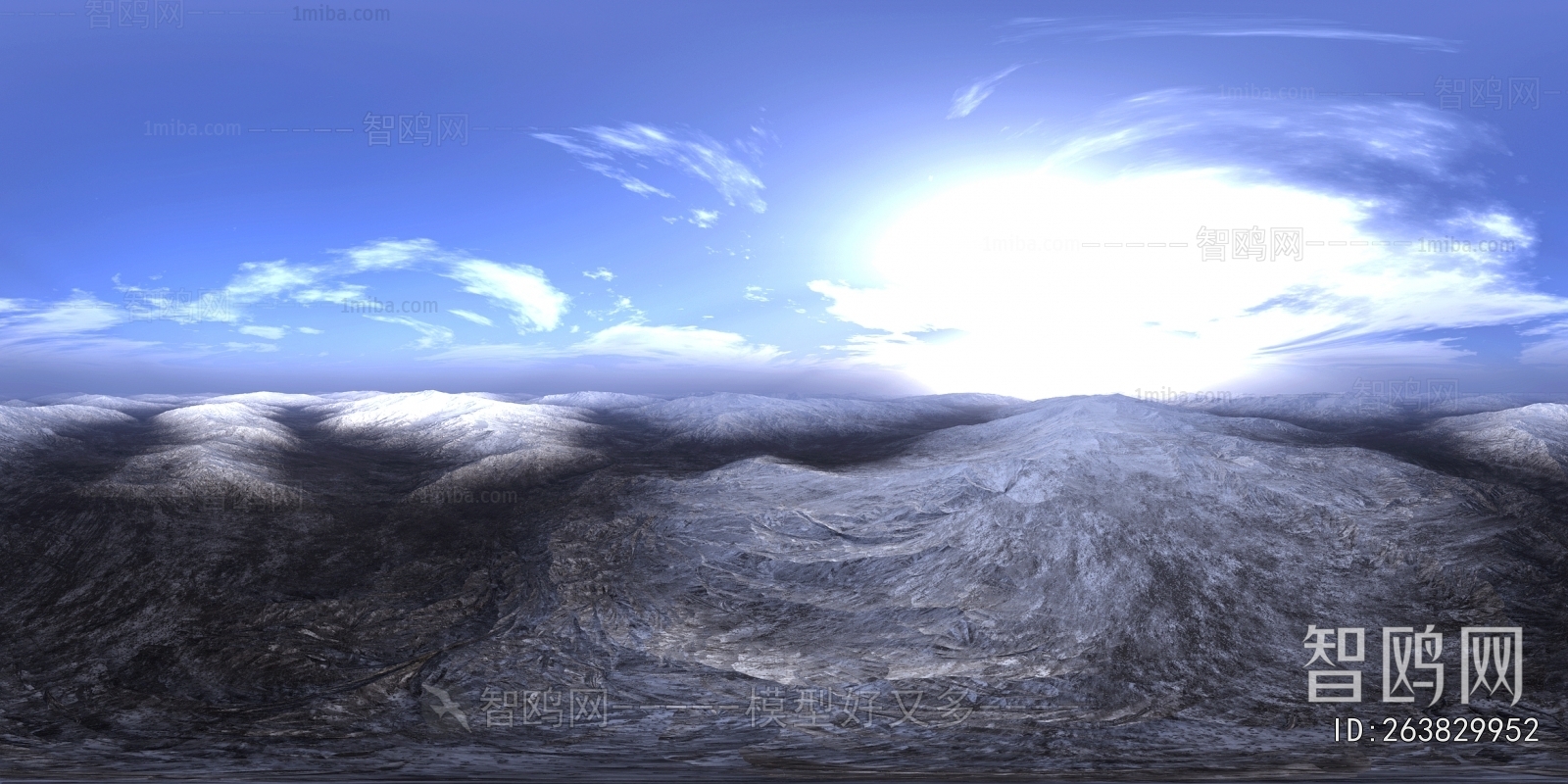 The Environment