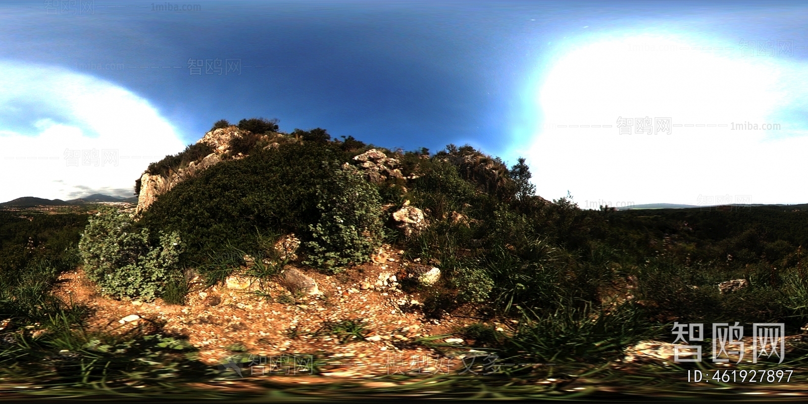 The Environment