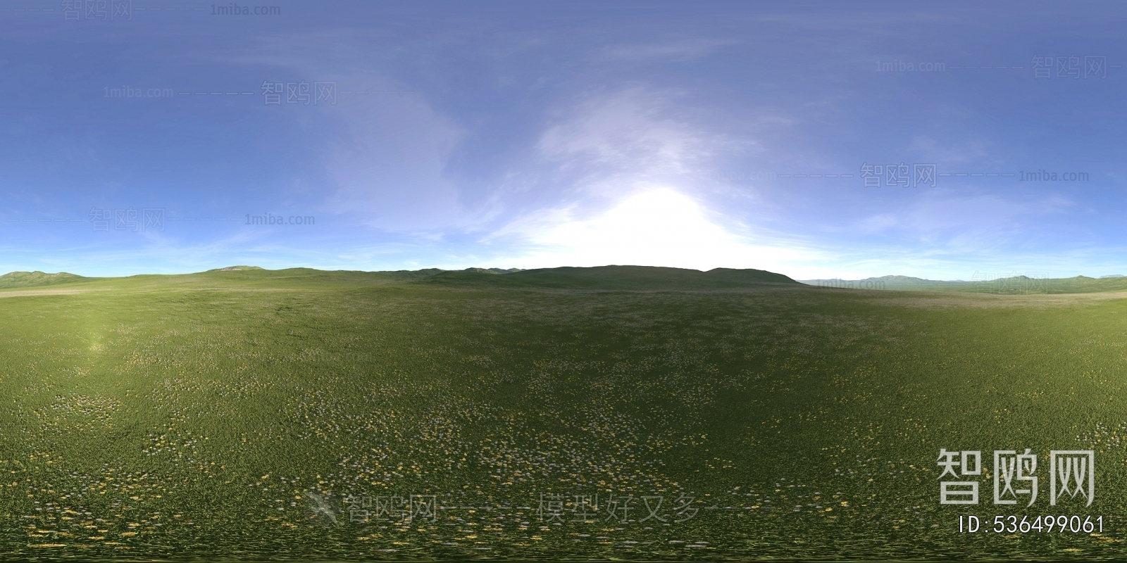 The Environment